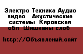 Электро-Техника Аудио-видео - Акустические системы. Кировская обл.,Шишканы слоб.